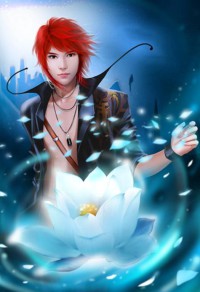 芙蓉帐