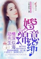 婚意绵绵，陆先生情深似海